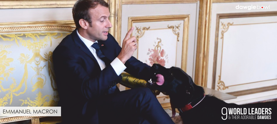 French President Emmanuel Macron with Dog Nemo - World Leaders with their Dogs