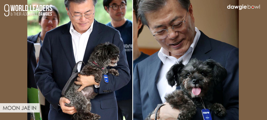 Moon Jae In with Adopted Dog Tori - World Leaders with their dogs