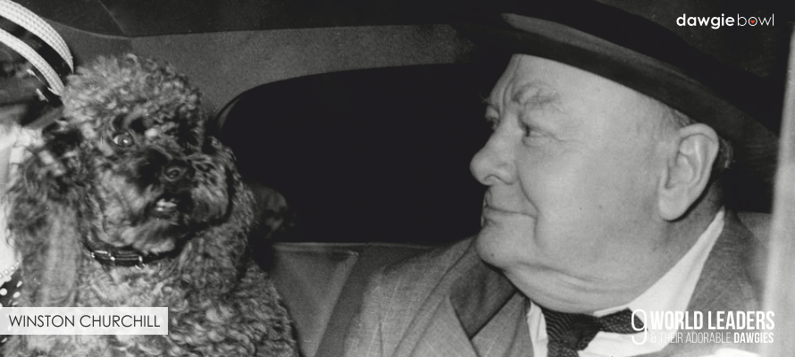 Winston Churchill with Poodle Rufus - World Leaders with their Dogs