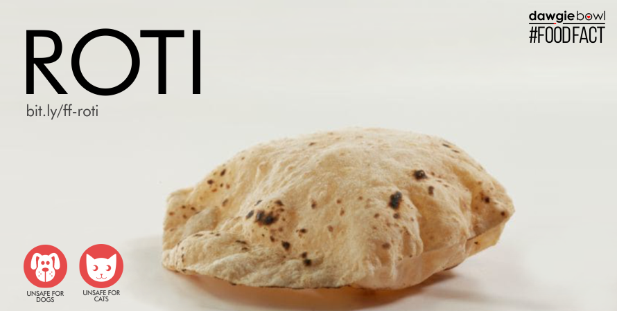 Roti Chapati Bread is toxic for dogs and cats - Can my pet dog cat eat Roti - DawgieBowl FoodFact Chapati