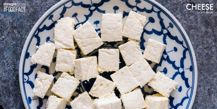 Cottage Cheese or Paneer- Can I give my pet cat dog cheese- DawgieBowl FoodFact Cheese