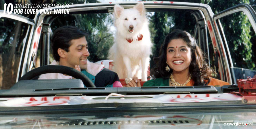 Hum Aapke Hain Koun- Indian Movies Dog Lovers Must Watch