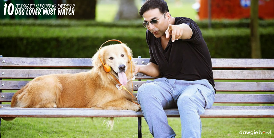 It's Entertainment- Indian Movies Dog Lovers Must Watch