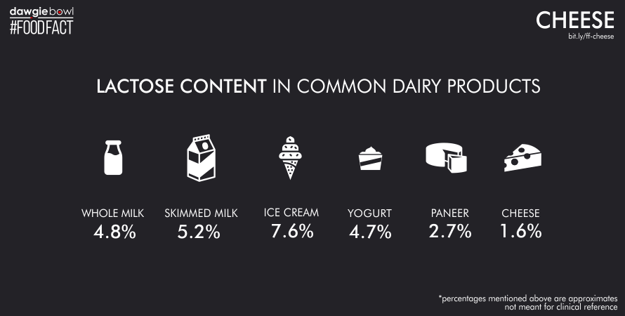 Lactose Content in Dairy Products Chart- DawgieBowl Food Fact - Cheese - Is Cheese safe to eat for pet dogs cats