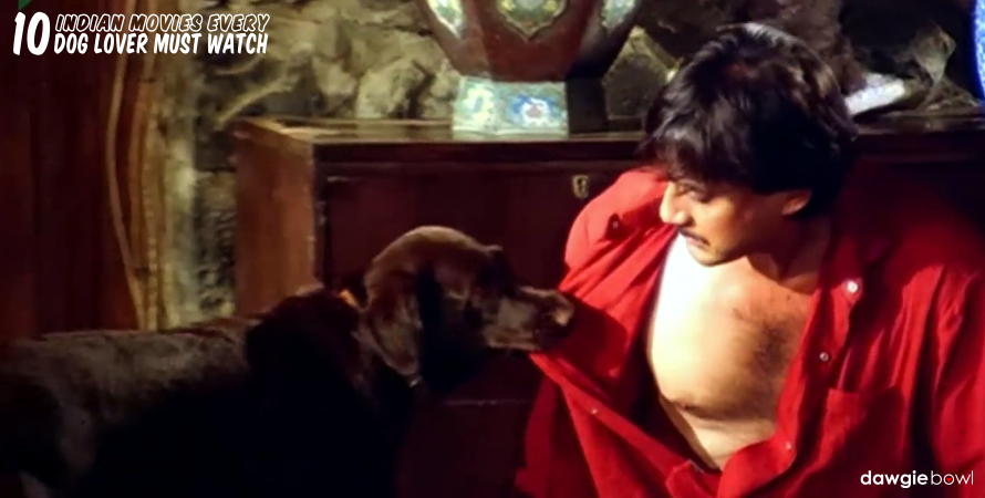 Teri Meherbaniya- Indian Movies Dog Lovers Must Watch