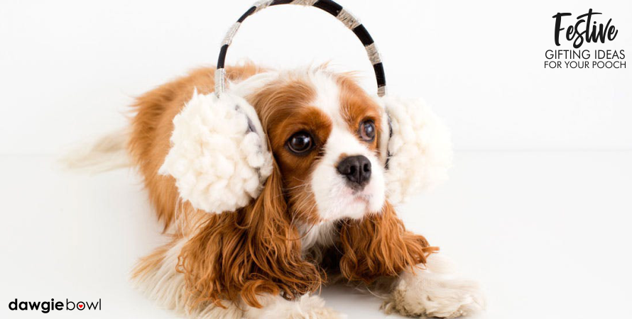 Dog with Earmuffs - Festive Gifting Ideas for Dogs - diwali gifting ideas