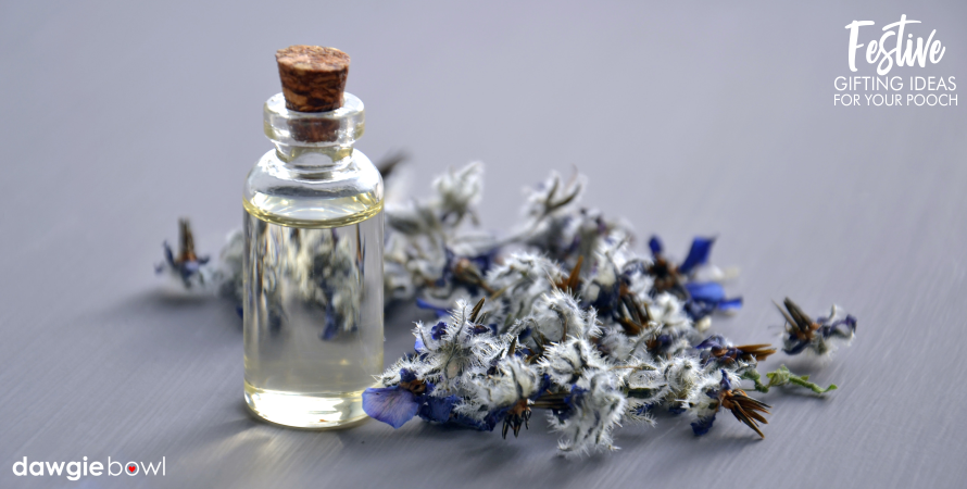 Lavender Essential Oil- Festive Gifting Ideas for Dogs - diwali gifting ideas