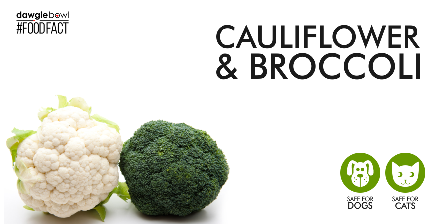 Can I feed my pet Cauliflower Broccoli