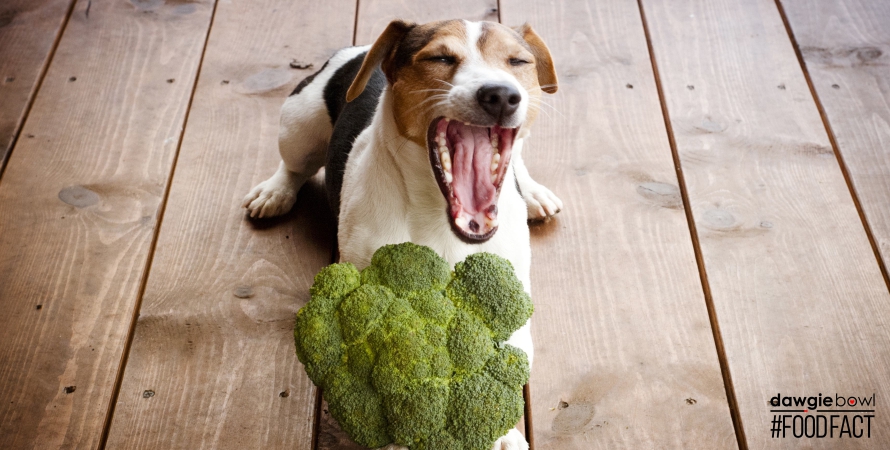 Can I feed my pet Cauliflower Broccoli