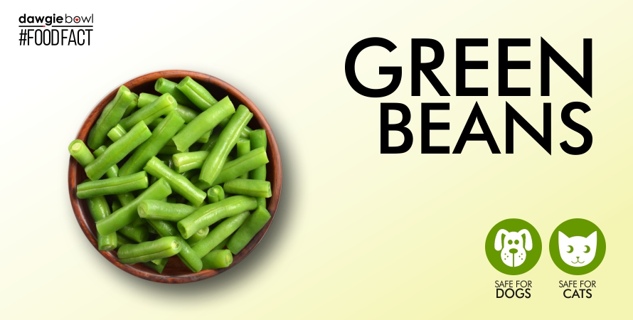 Can I feed my pet dog cat Green French String Beans