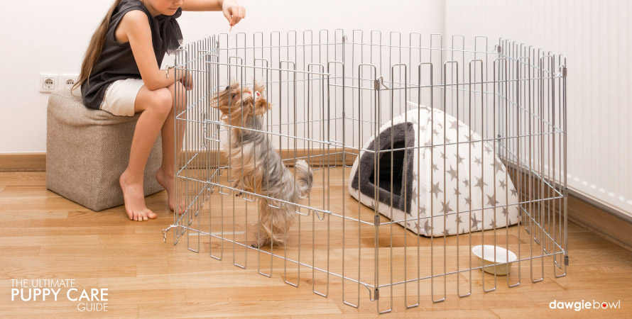 puppy proof your home, preparing for a puppy, puppy in playpen, Puppy Care Tips, Puppy Care Guide, New Puppy Dog, Puppy Needs, Pet puppy, Potty Training, newborn puppy care, toilet training puppy, puppy biting