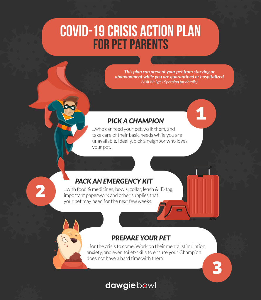 COVID-19 Crisis Action Plan for Pet Parents - Rescue plan for pet dogs and cat during coronavirus pandemic - train your pet to survive a quarantine