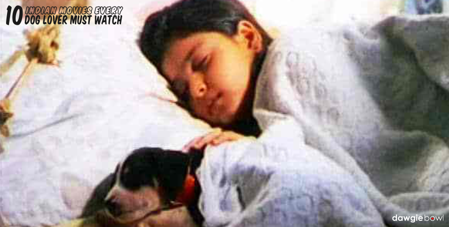 Halo- Indian Movies Dog Lovers Must Watch